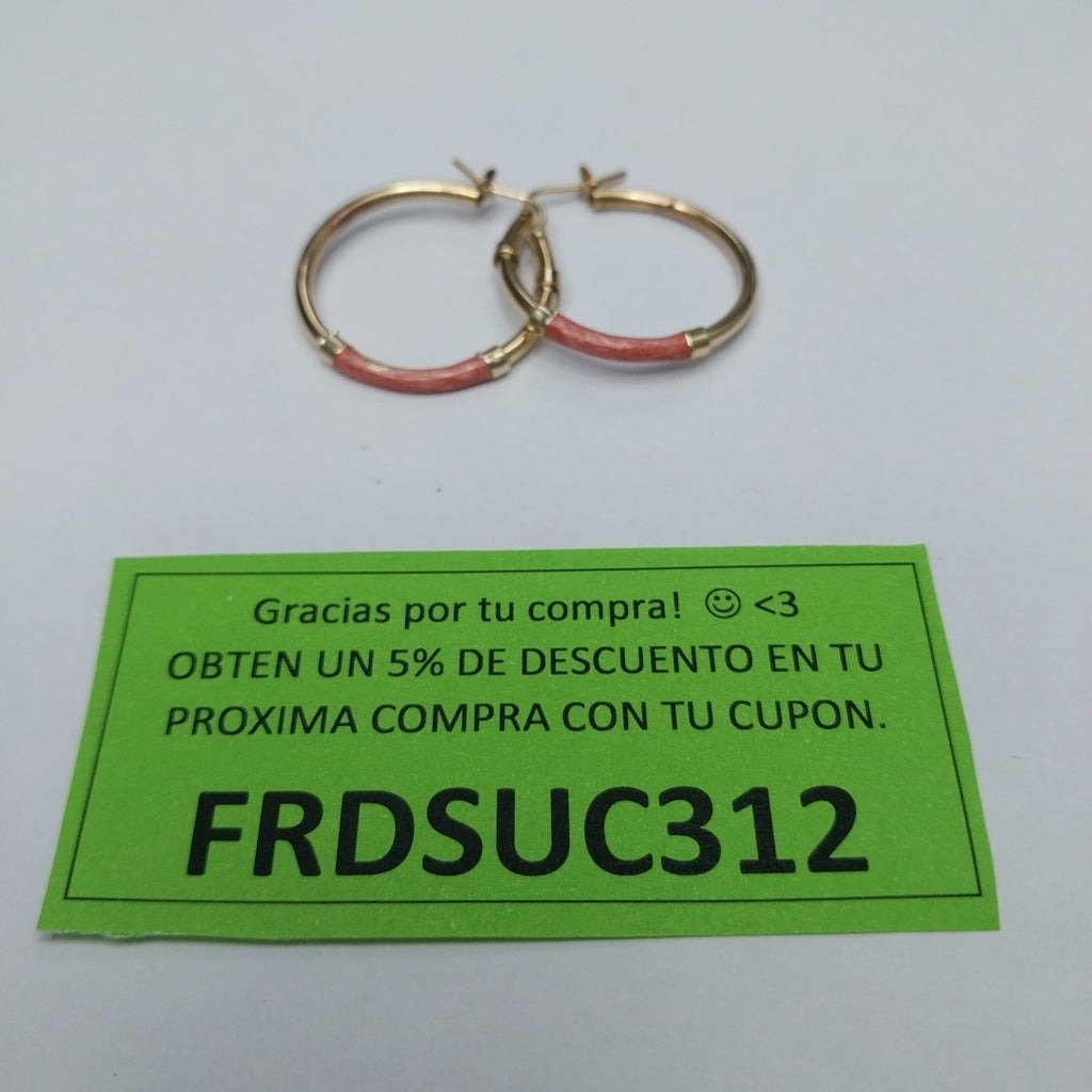 ARRACADAS PAR ORO 10 K 2,90 GRMS (SEMINUEVO)