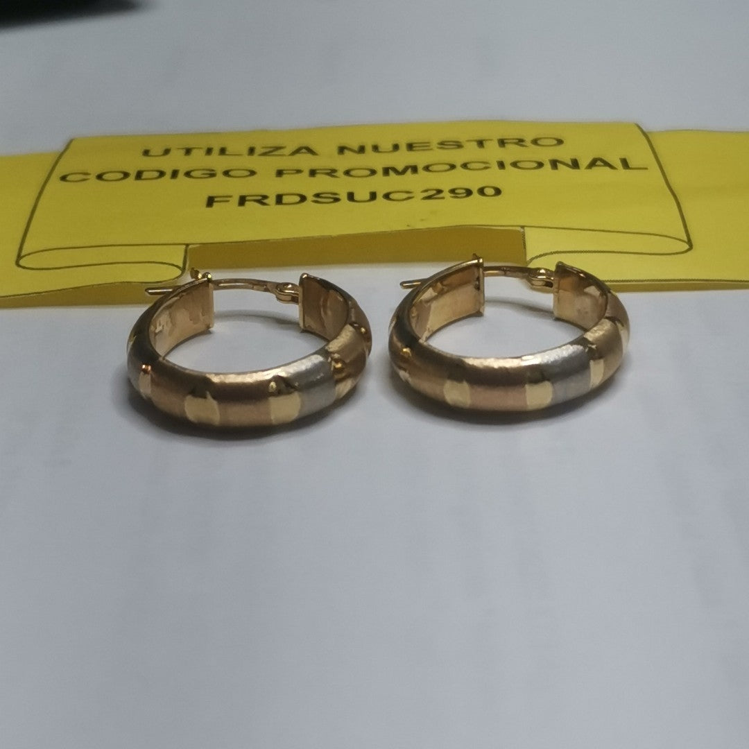 ARETES PAR ORO 14 K 2.6 GRMS (SEMINUEVO)