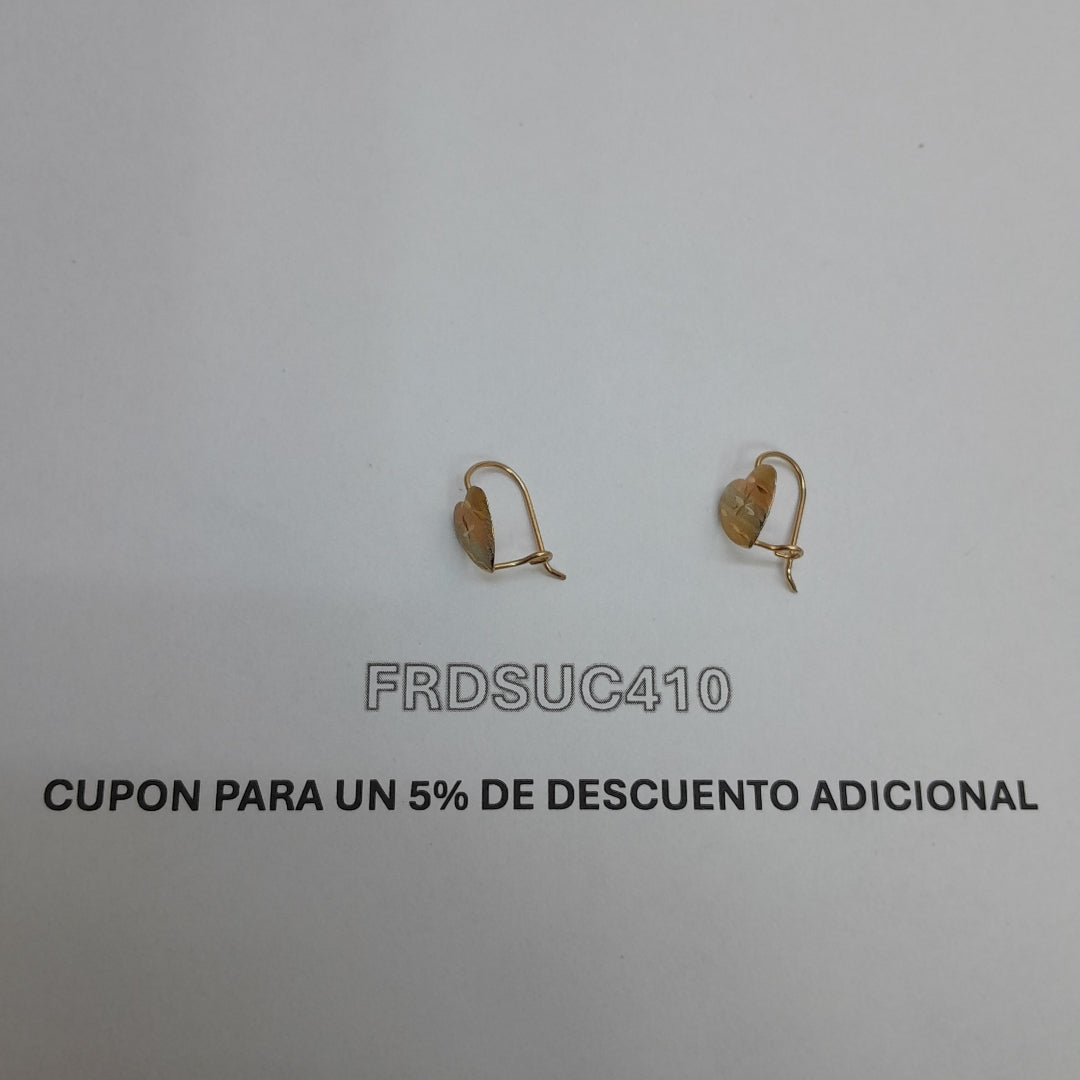 ARETES PAR ORO 10 K 0,90 GRMS (SEMINUEVO)