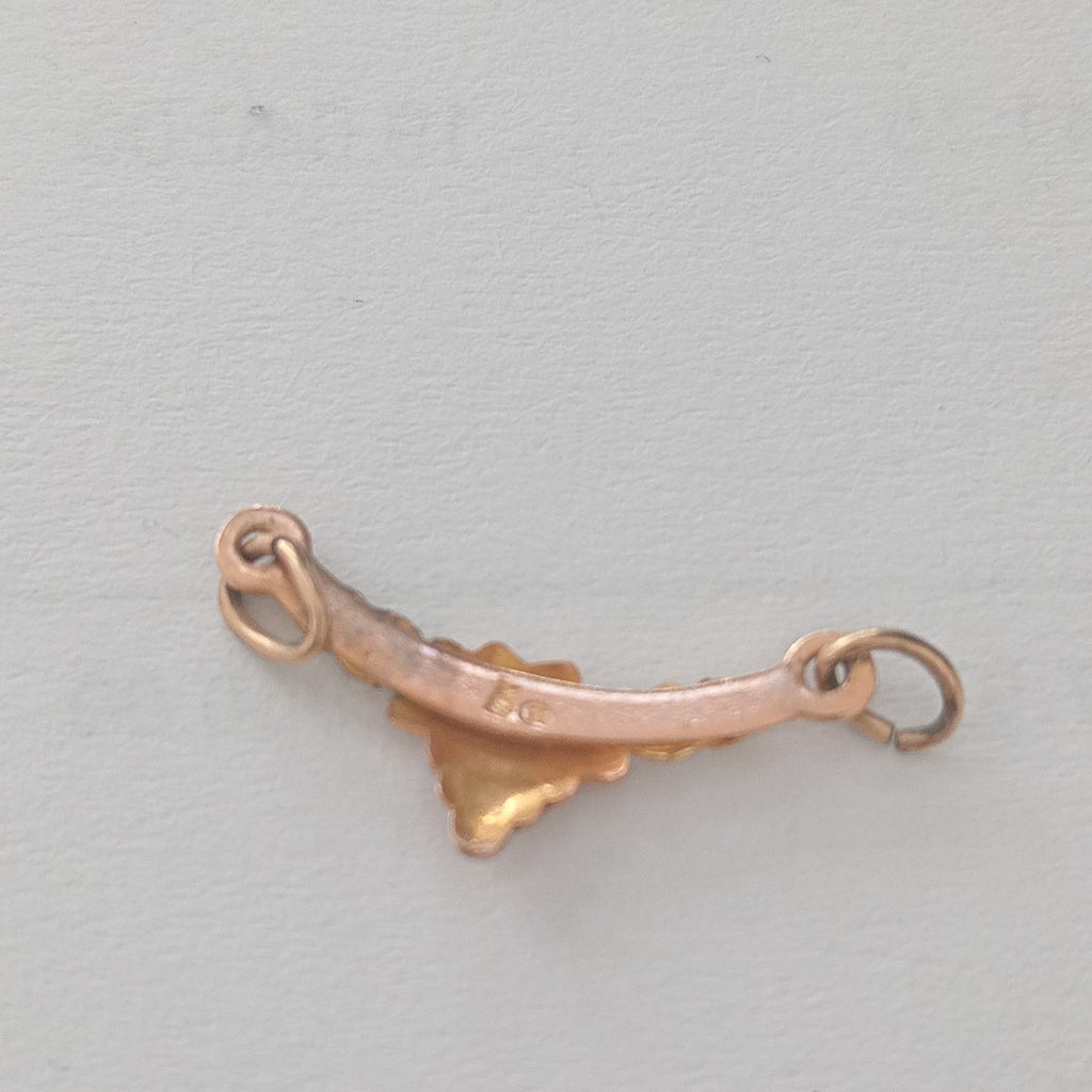 DIJE ORO COMBINADO 10 K 0,40 GRMS (SEMINUEVO)