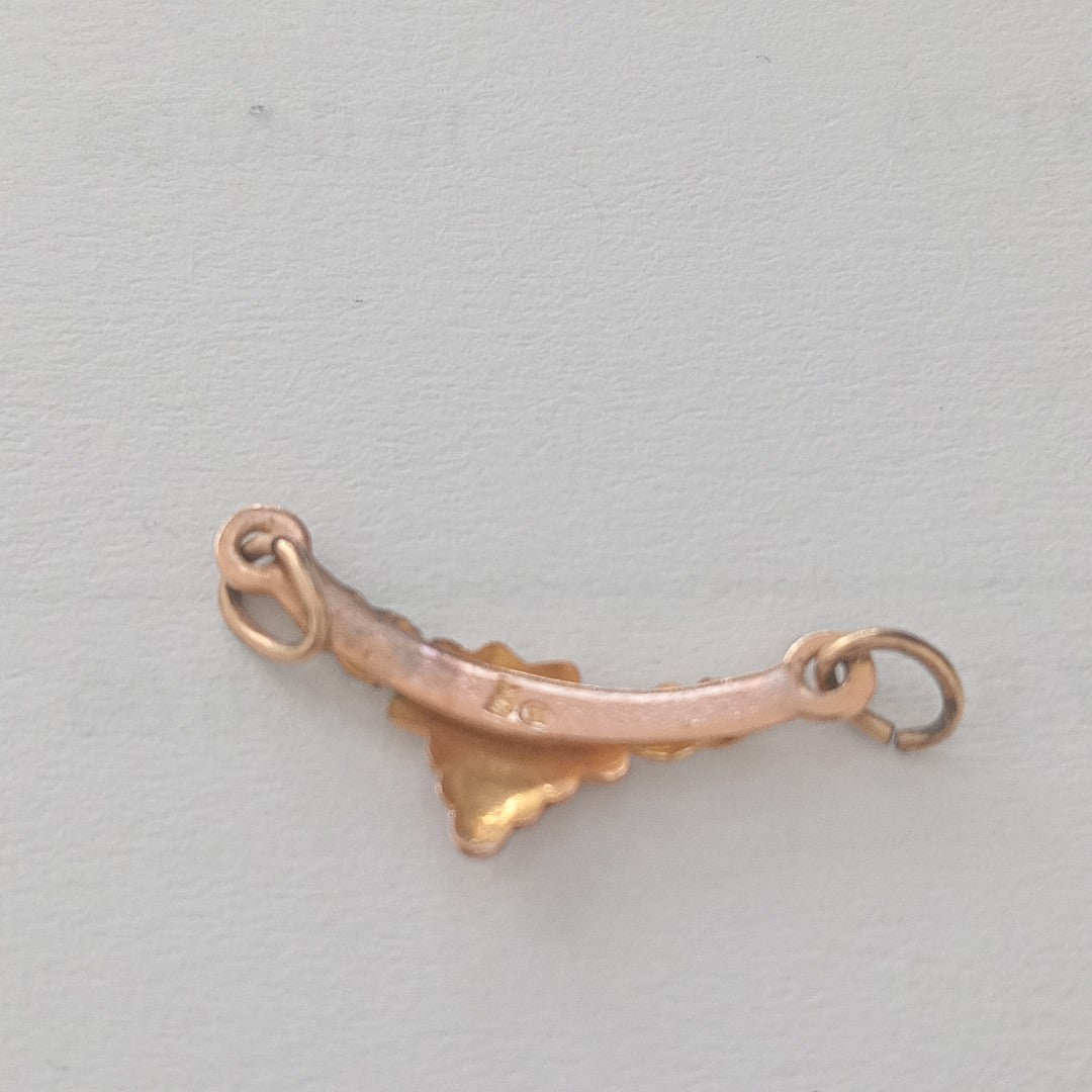 DIJE ORO COMBINADO 10 K 0,40 GRMS (SEMINUEVO)
