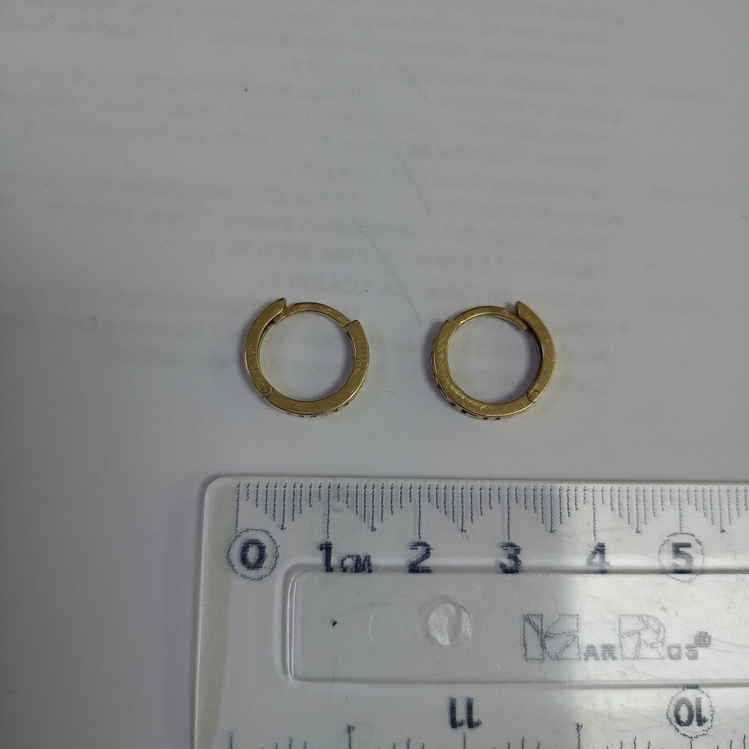 ARETES PAR ORO 10 K 2 GRMS (SEMINUEVO)
