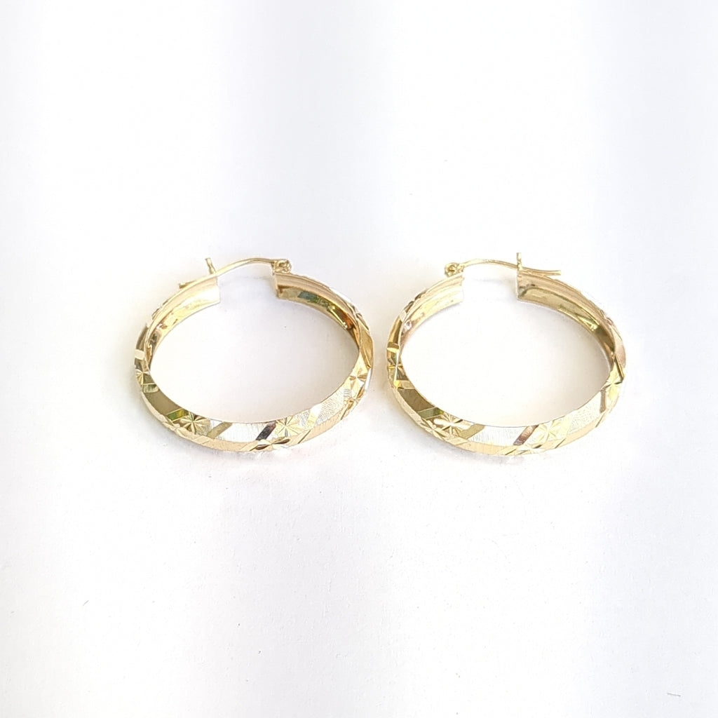 ARRACADAS PAR ORO 10 K 3,80 GRMS (SEMINUEVO)