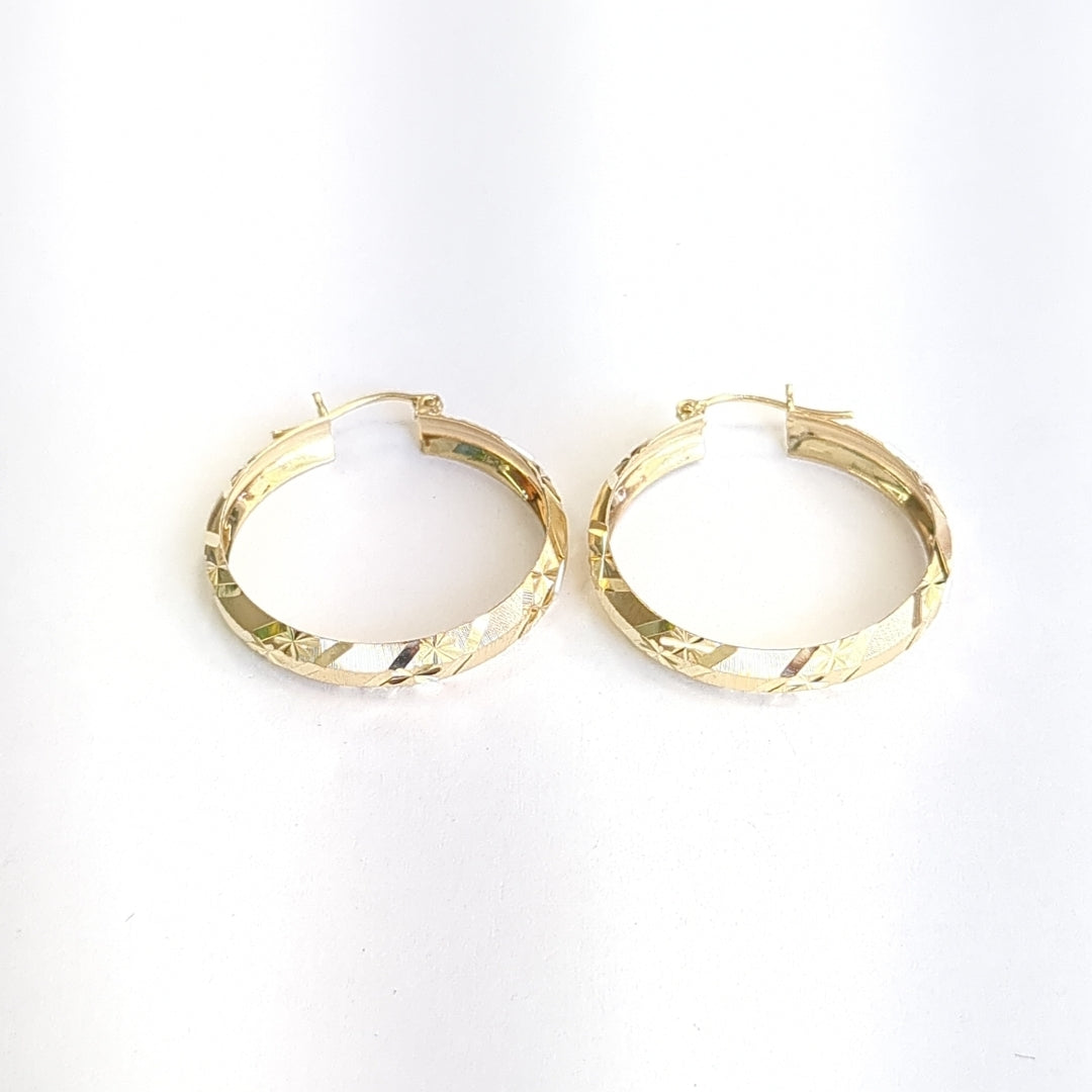 ARRACADAS PAR ORO 10 K 3,80 GRMS (SEMINUEVO)