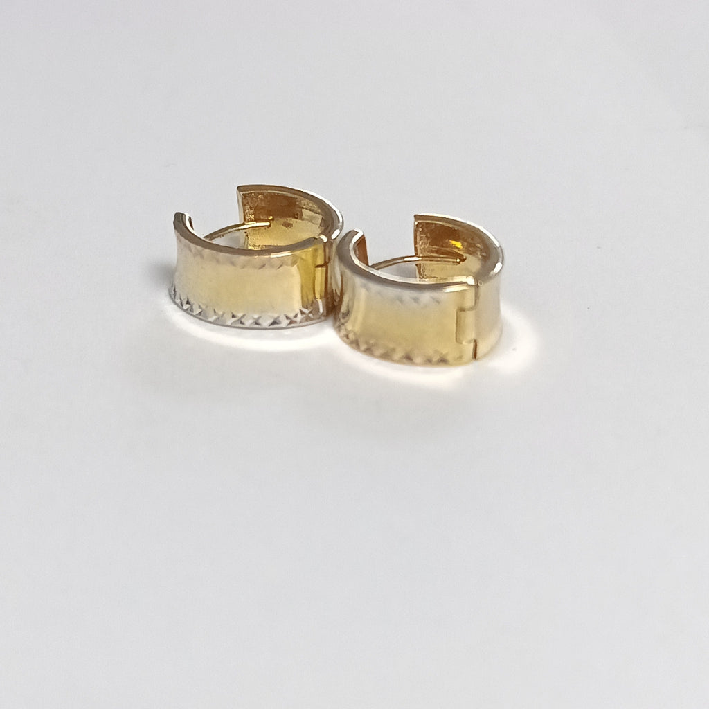 ARETES PAR ORO 10 K 3.1 GRMS (SEMINUEVO)