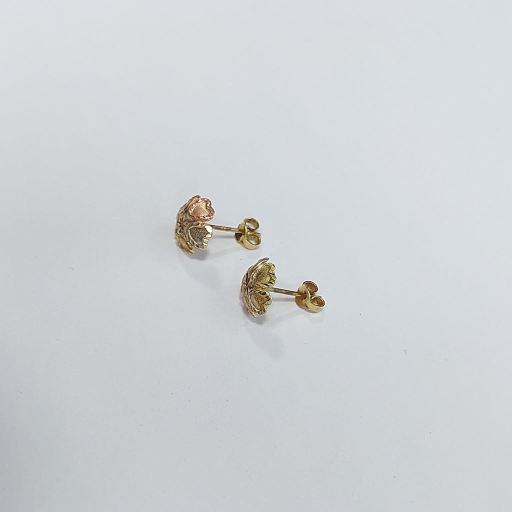 BROQUELES PAR ORO, ORO COMBINADO 10 K 0.9 GRMS (SEMINUEVO)