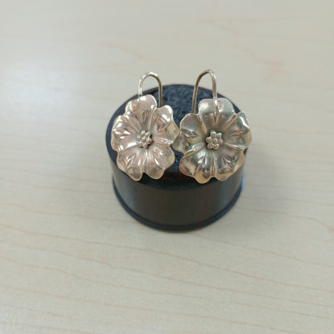ARETES PAR ORO 10 K 2.2 GRMS (SEMINUEVO)