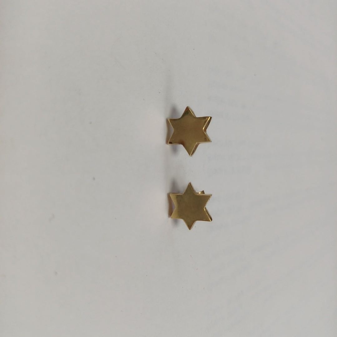 BROQUELES PAR ORO 14 K 1.9 GRMS (SEMINUEVO)