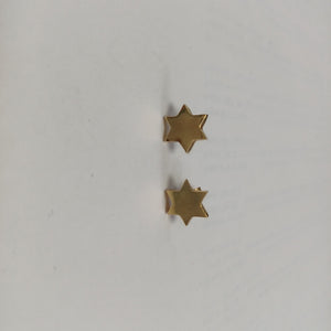 BROQUELES PAR ORO 14 K 1.9 GRMS (SEMINUEVO)