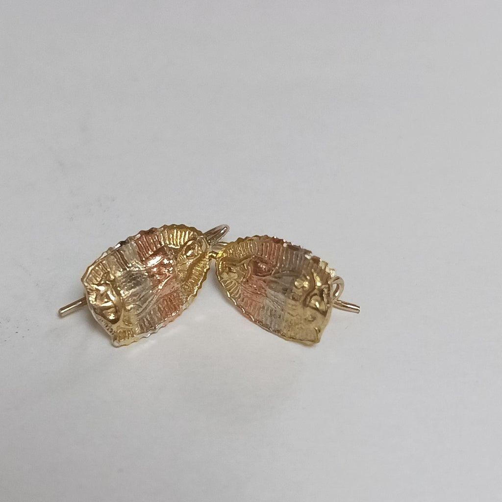 ARETES PAR ORO 10 K 1.9 GRMS (SEMINUEVO)