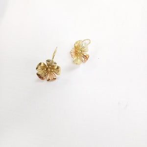 ARETES PAR ORO 14 K 3.3 GRMS (SEMINUEVO)