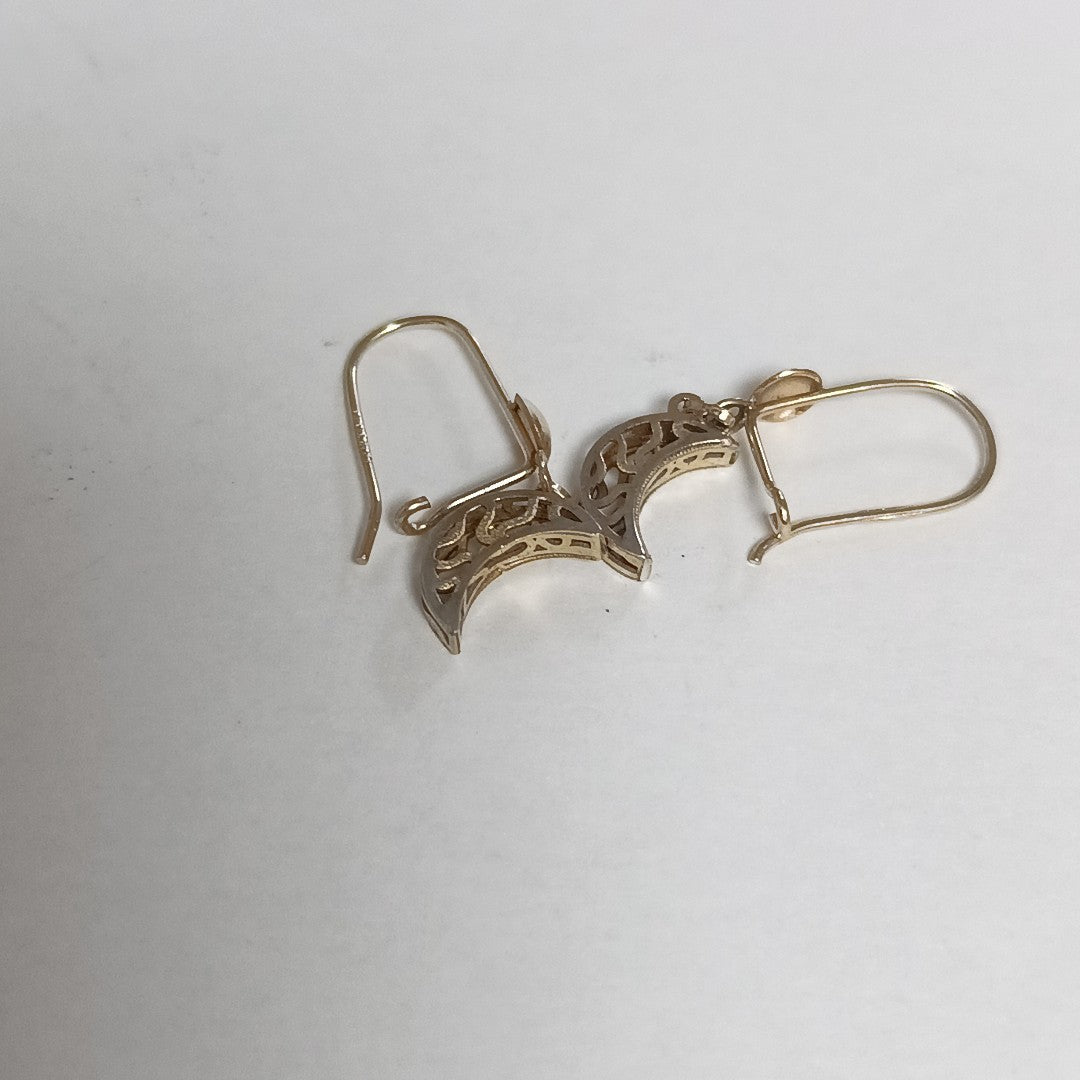 ARETES PAR ORO 10 K 1.2 GRMS (SEMINUEVO)