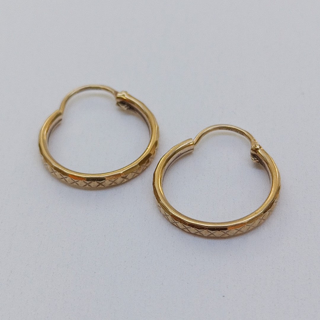 ARRACADAS PAR ORO 10 K 0.9 GRMS (SEMINUEVO)
