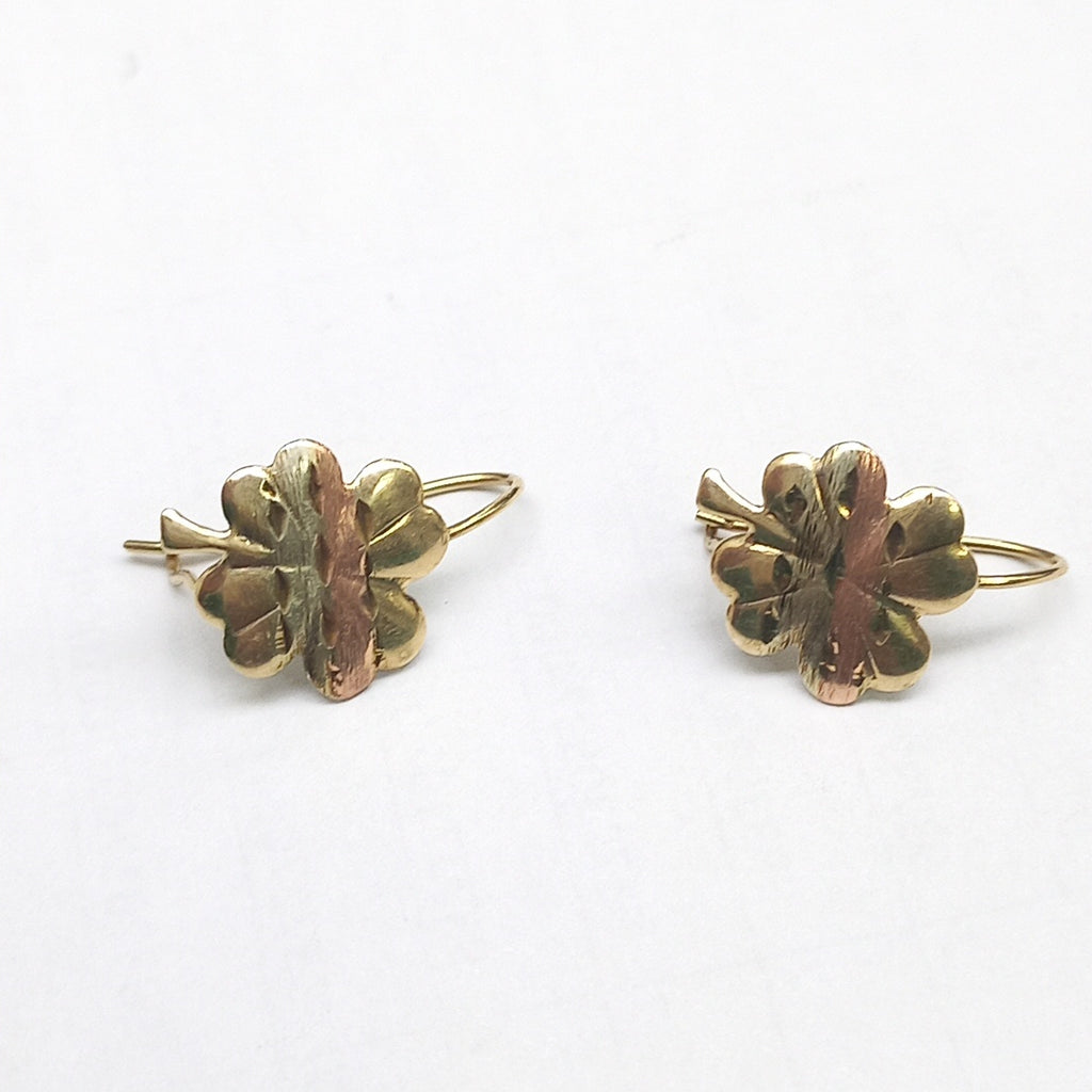 ARETES PAR ORO, ORO COMBINADO 10 K 1.1 GRMS (SEMINUEVO)