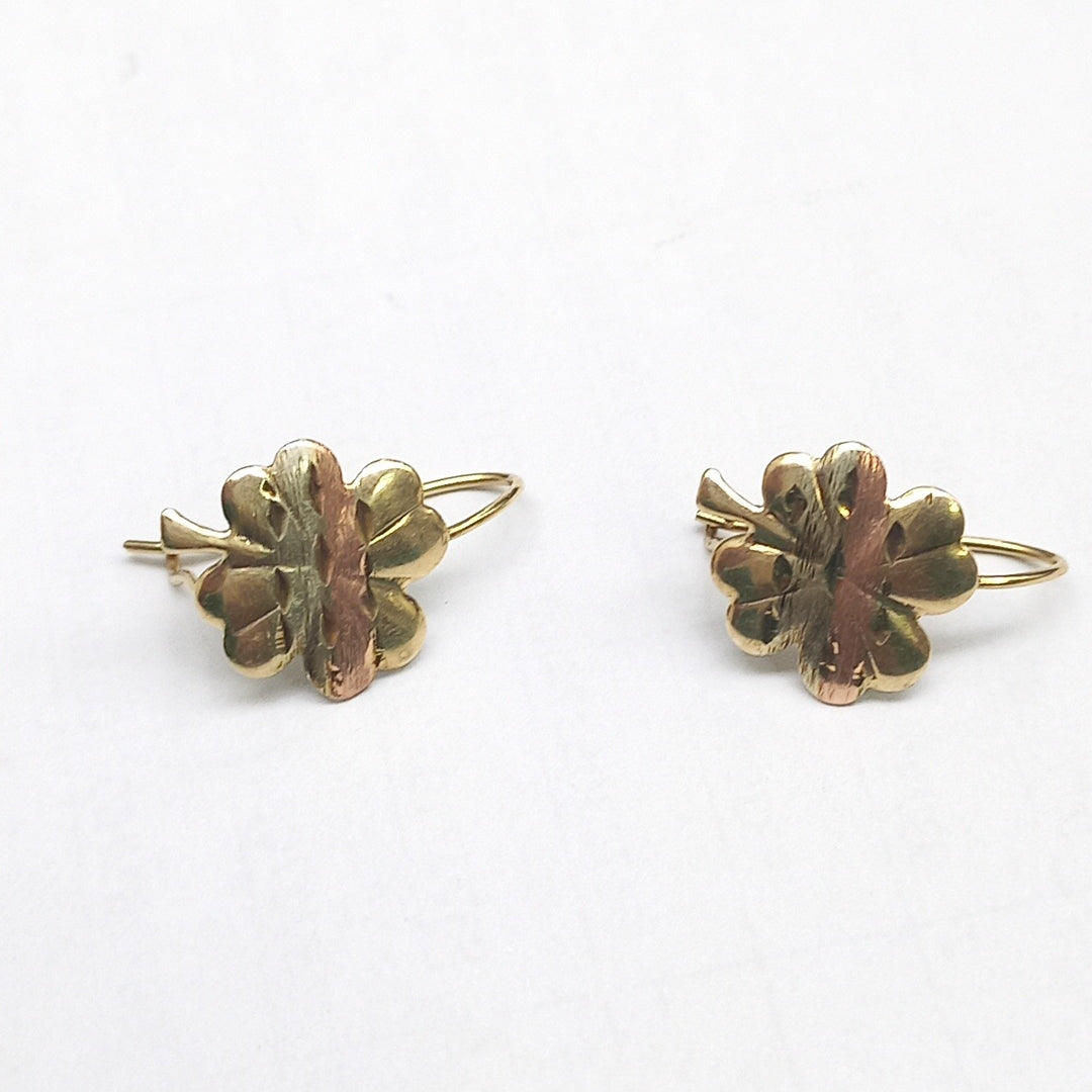 ARETES PAR ORO, ORO COMBINADO 10 K 1.1 GRMS (SEMINUEVO)
