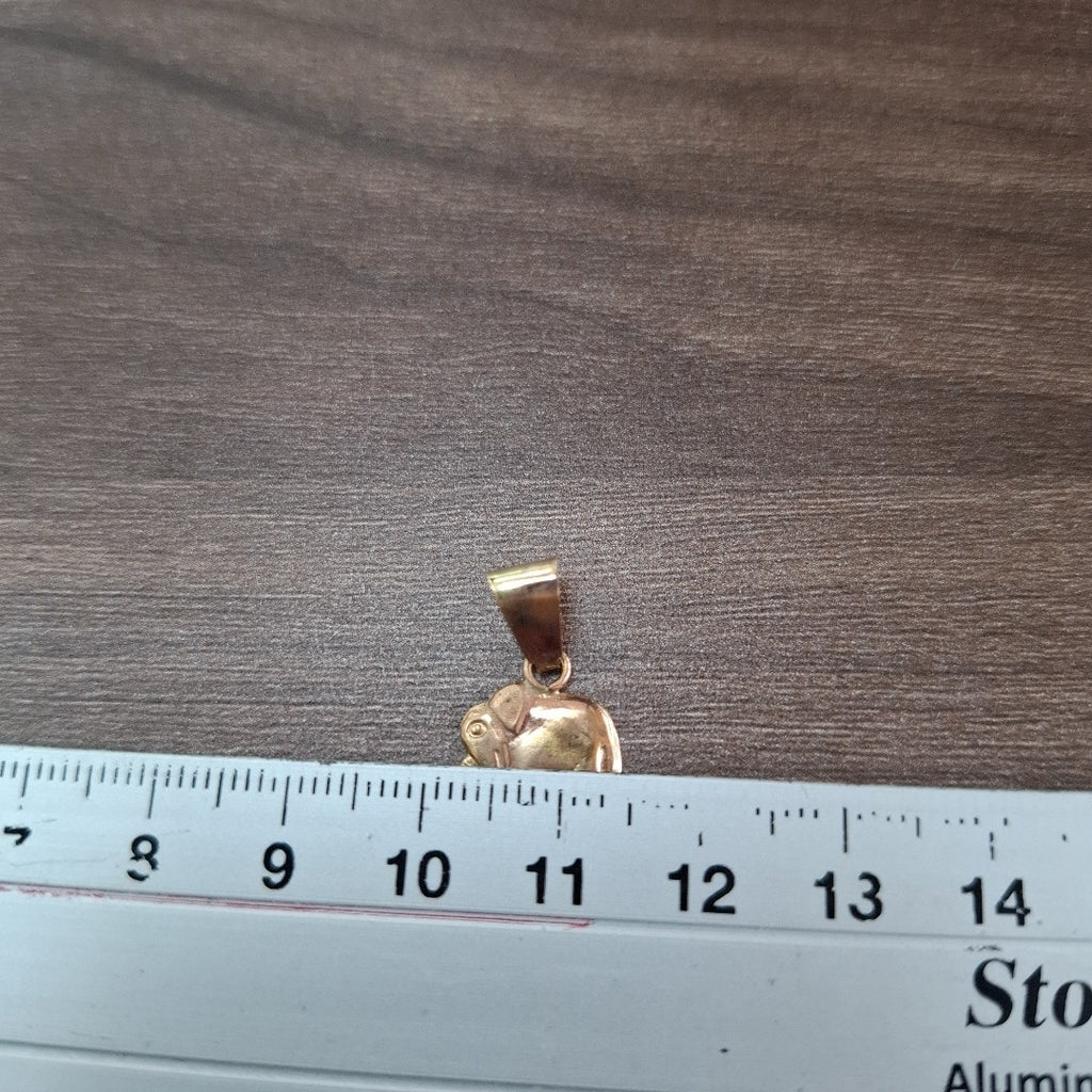 DIJE ORO 10 K 0.5 GRMS (SEMINUEVO)