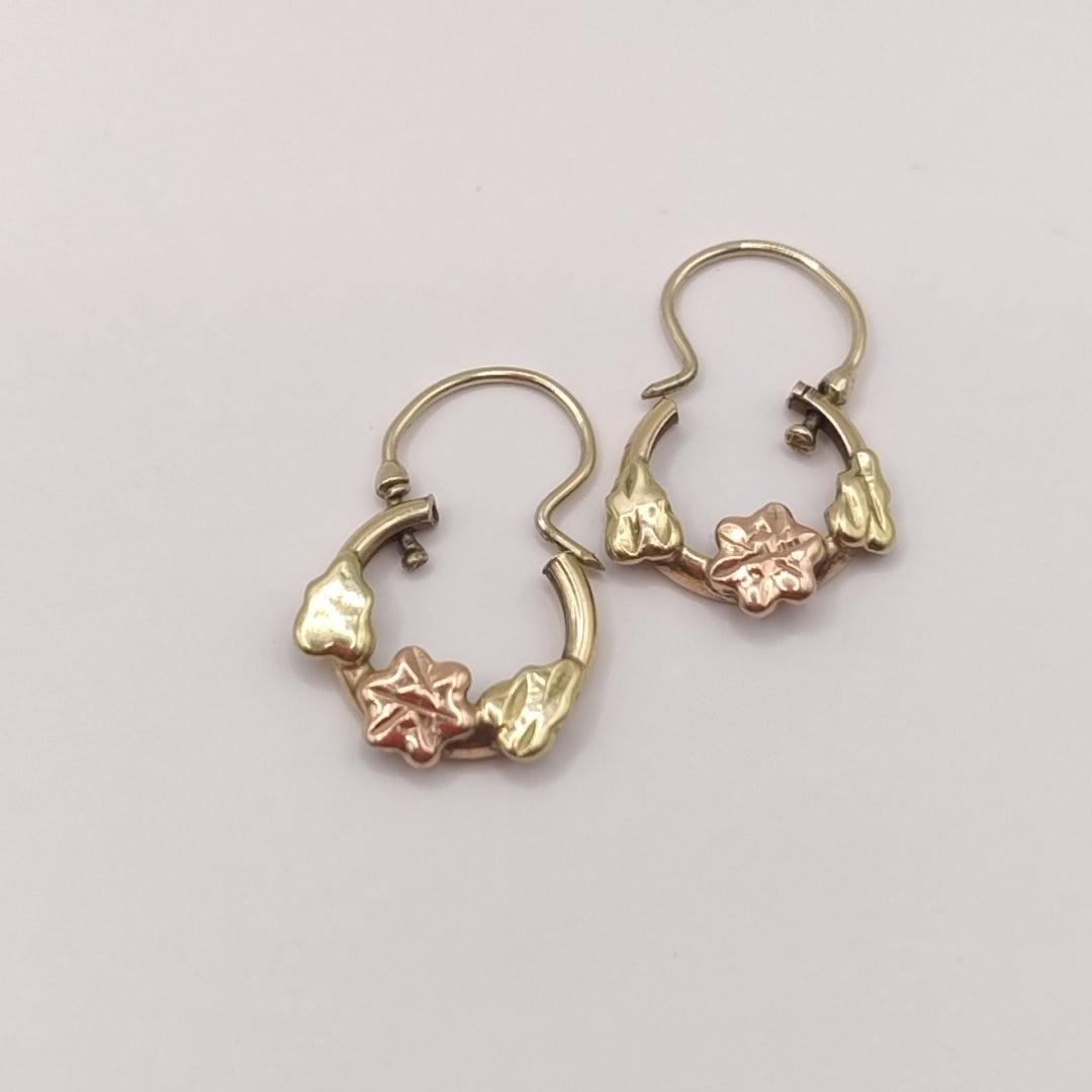 ARETES PAR ORO 10 K 1.7 GRMS (SEMINUEVO)