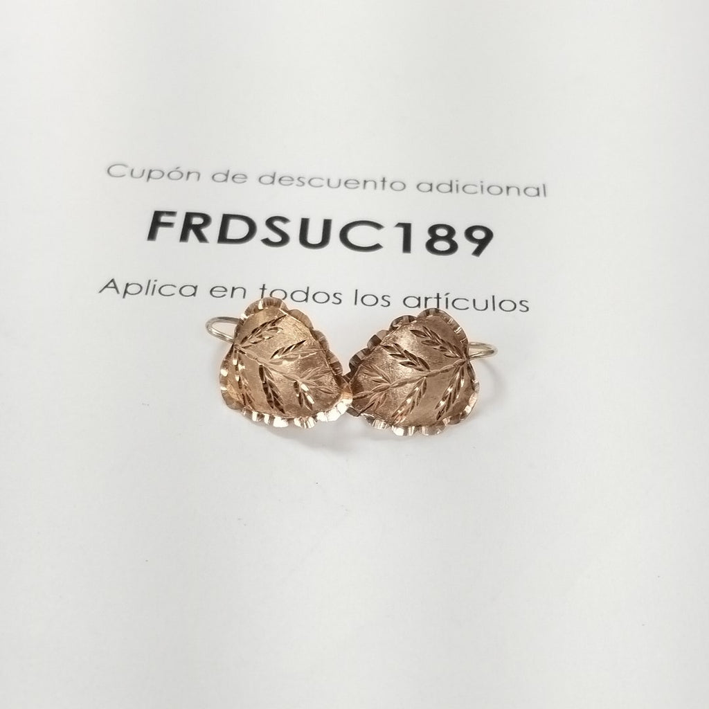 ARETES PAR ORO 10 K 2.1 GRMS (SEMINUEVO)
