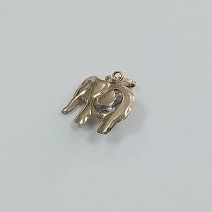 DIJE ORO 14 K 0.9 GRMS (SEMINUEVO)