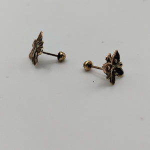 BROQUELES PAR ORO 10 K 0,50 GRMS (SEMINUEVO)