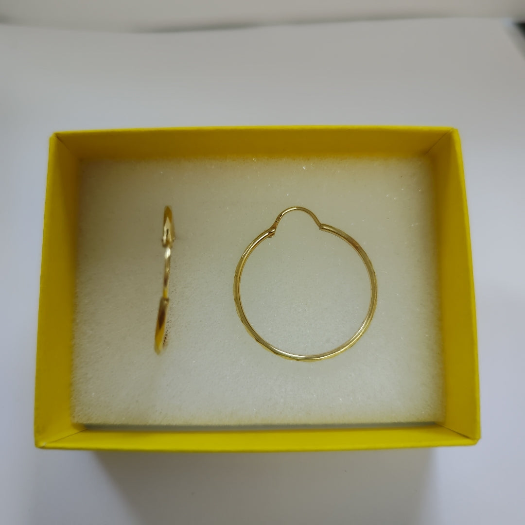 ARRACADAS PAR ORO 10 K 2 GRMS (SEMINUEVO)