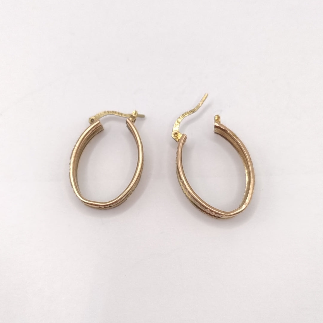 ARRACADAS PAR ORO 10 K 2,90 GRMS (SEMINUEVO)
