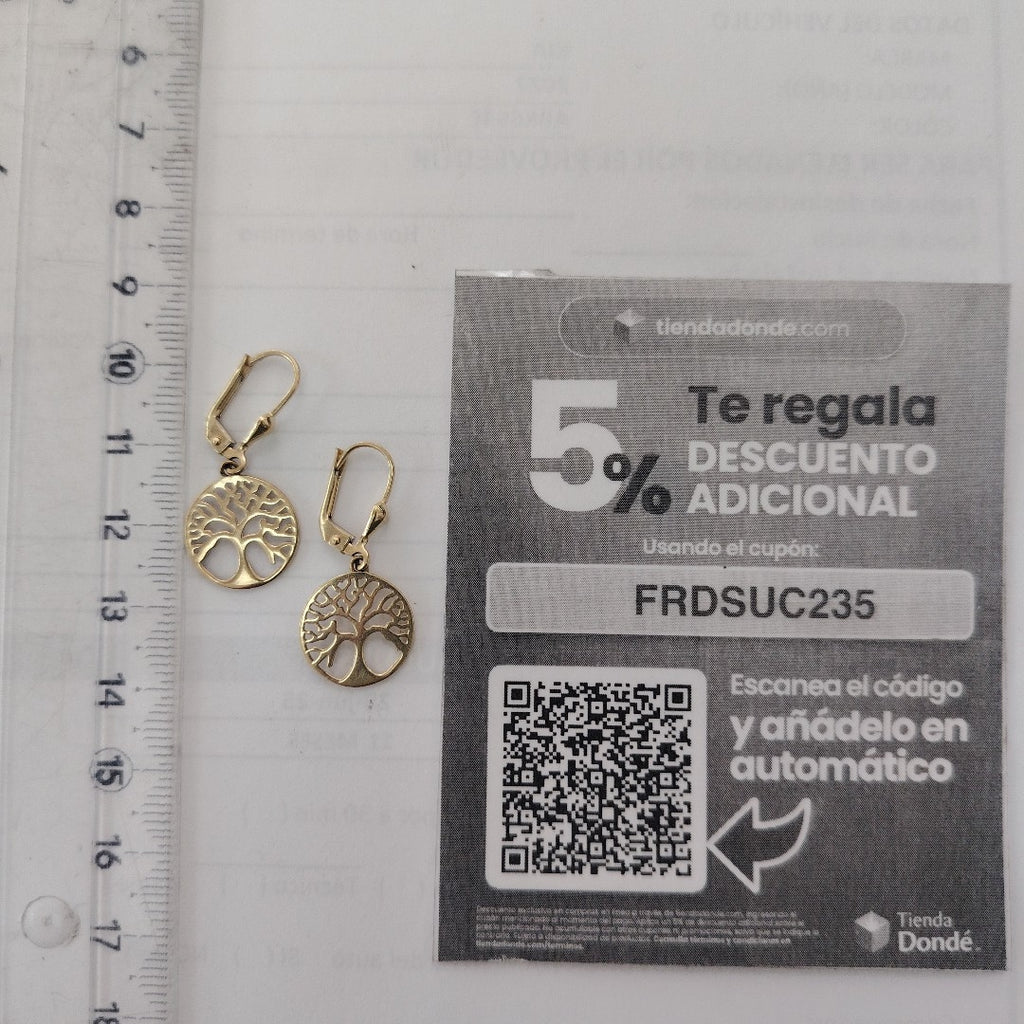 ARETES PAR ORO 10 K 1,90 GRMS (SEMINUEVO)