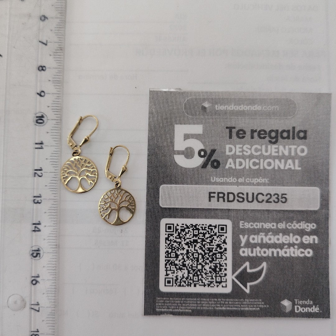 ARETES PAR ORO 10 K 1,90 GRMS (SEMINUEVO)