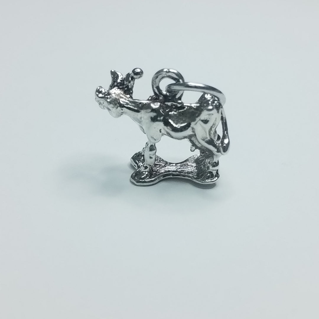 DIJE PLATA 4,80 GRMS (SEMINUEVO)