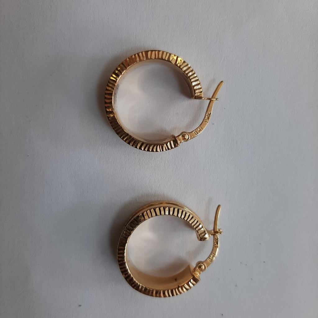 ARRACADAS PAR ORO 10 K 2.1 GRMS (SEMINUEVO)