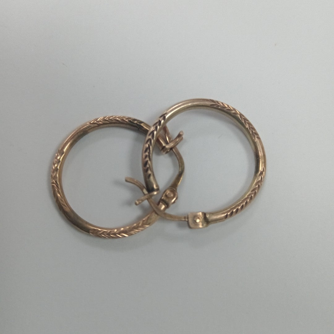 ARRACADAS PAR ORO 10 K 2,40 GRMS (SEMINUEVO)