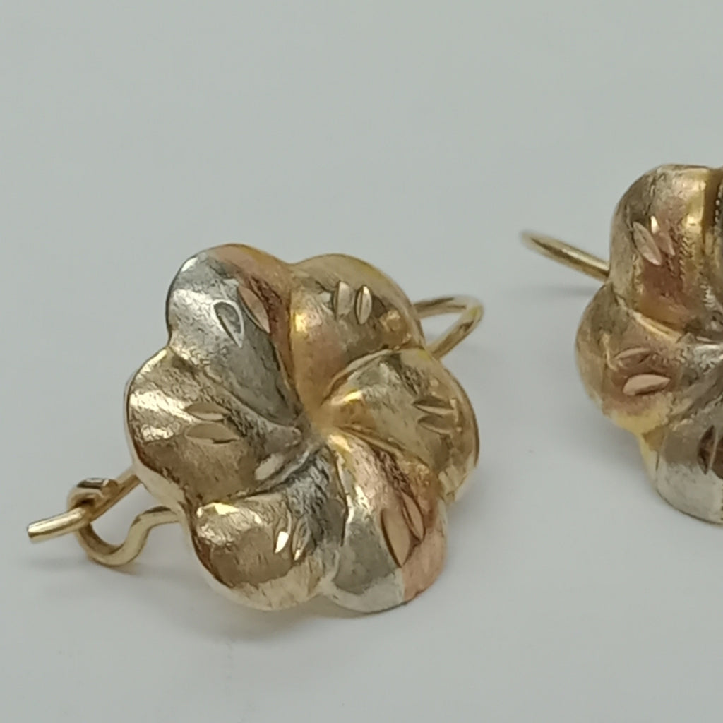 ARETES PAR ORO 10 K 1,50 GRMS (SEMINUEVO)