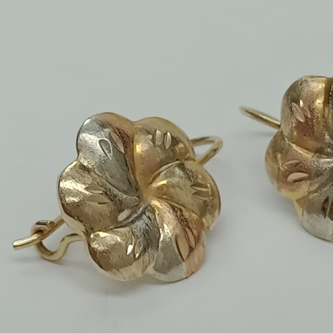 ARETES PAR ORO 10 K 1,50 GRMS (SEMINUEVO)