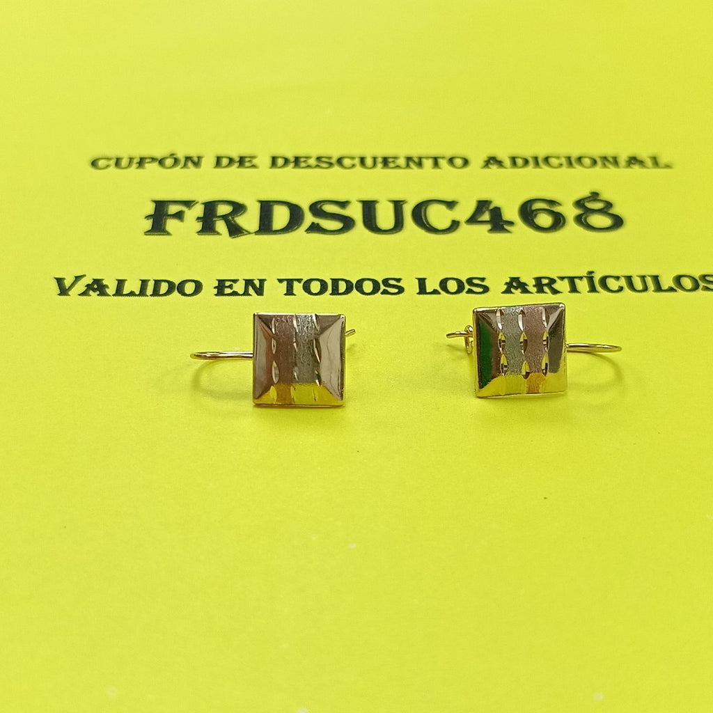 ARETES PAR ORO,ORO COMBINADO 10 K 1,20 GRMS (SEMINUEVO)