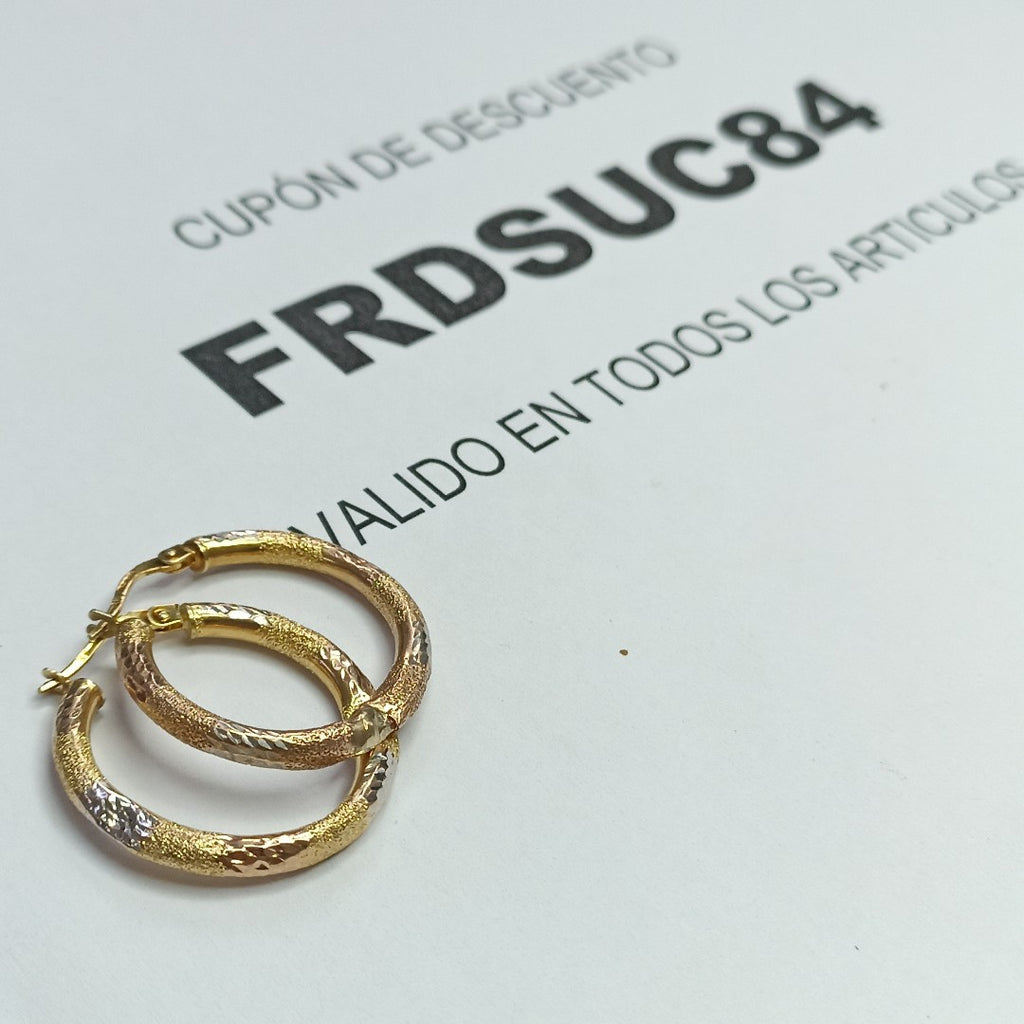 ARRACADAS PAR ORO 10 K 1,70 GRMS (SEMINUEVO)