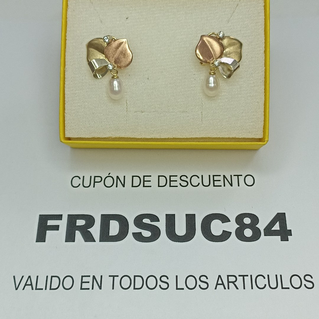 ARETES PAR ORO 10 K 4,40 GRMS (SEMINUEVO)