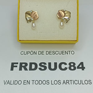 ARETES PAR ORO 10 K 4,40 GRMS (SEMINUEVO)