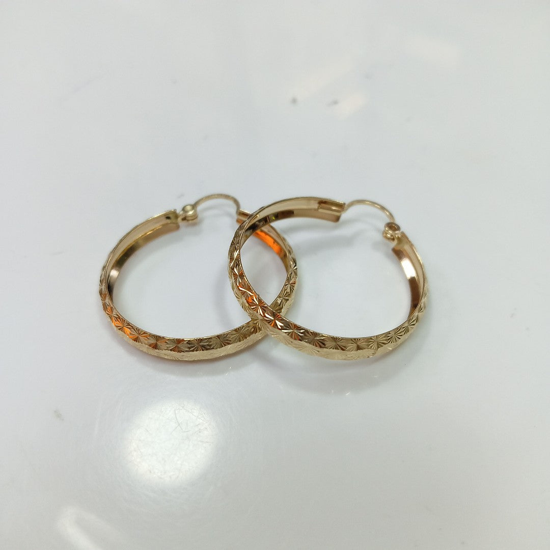 ARRACADAS PAR ORO 10 K 3.5 GRMS (SEMINUEVO)
