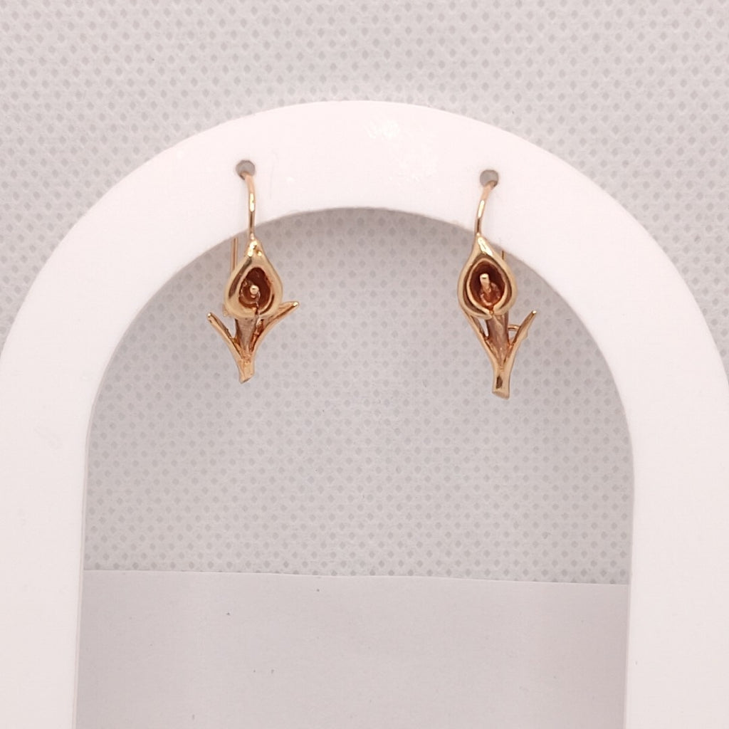 ARETES PAR ORO 14 K 2,00 GRMS (SEMINUEVO)