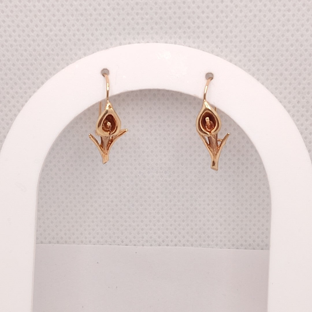 ARETES PAR ORO 14 K 2,00 GRMS (SEMINUEVO)