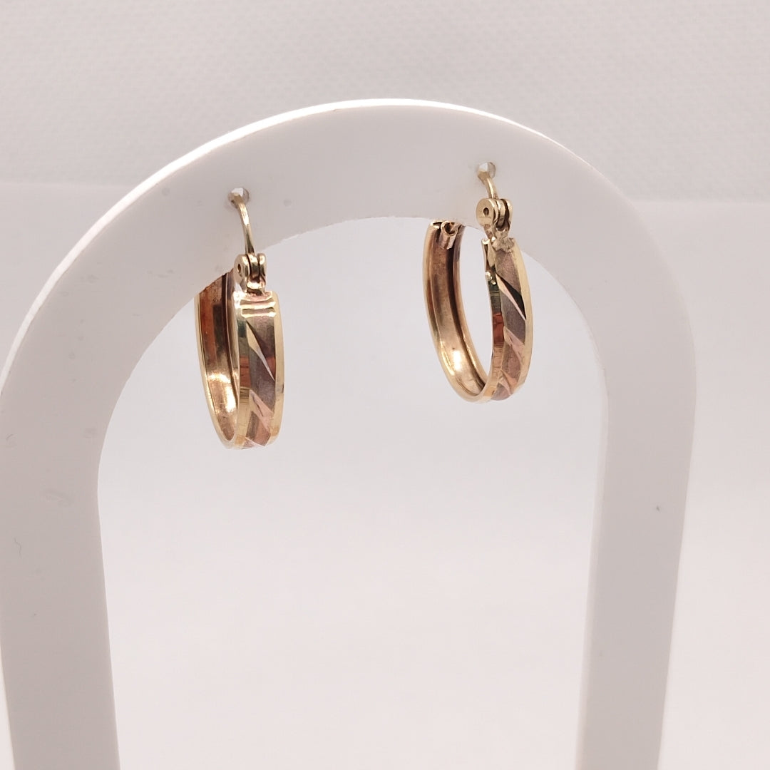 ARRACADAS PAR ORO 10 K 1,70 GRMS (SEMINUEVO)