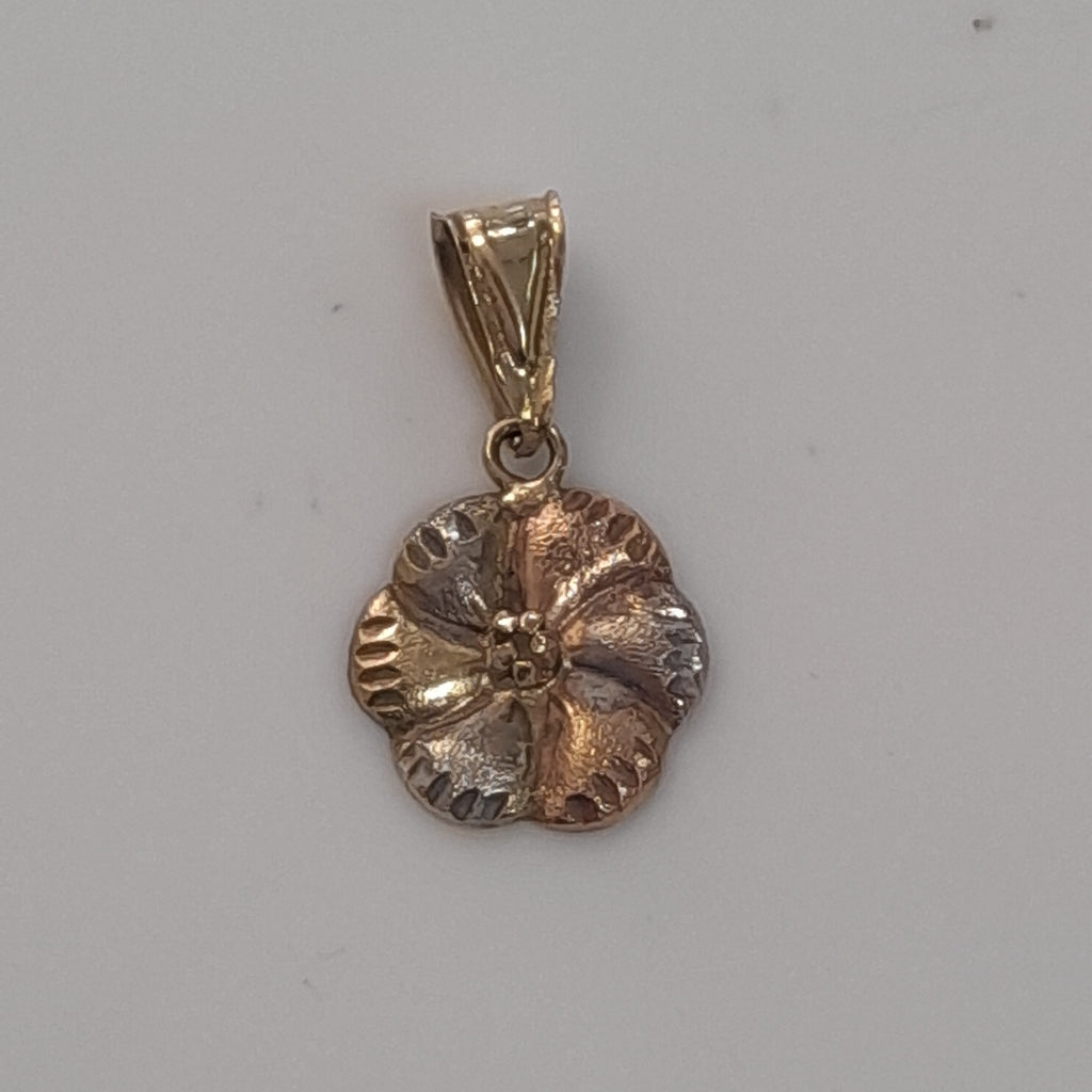 DIJE ORO COMBINADO 10 K 0,80 GRMS (SEMINUEVO)