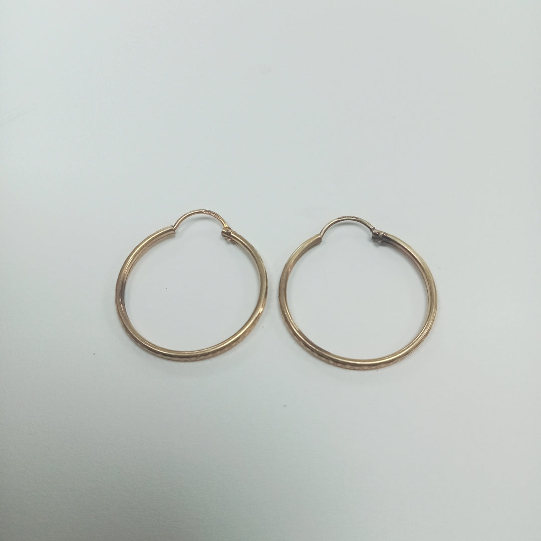 ARRACADAS PAR ORO 10 K 1,70 GRMS (SEMINUEVO)