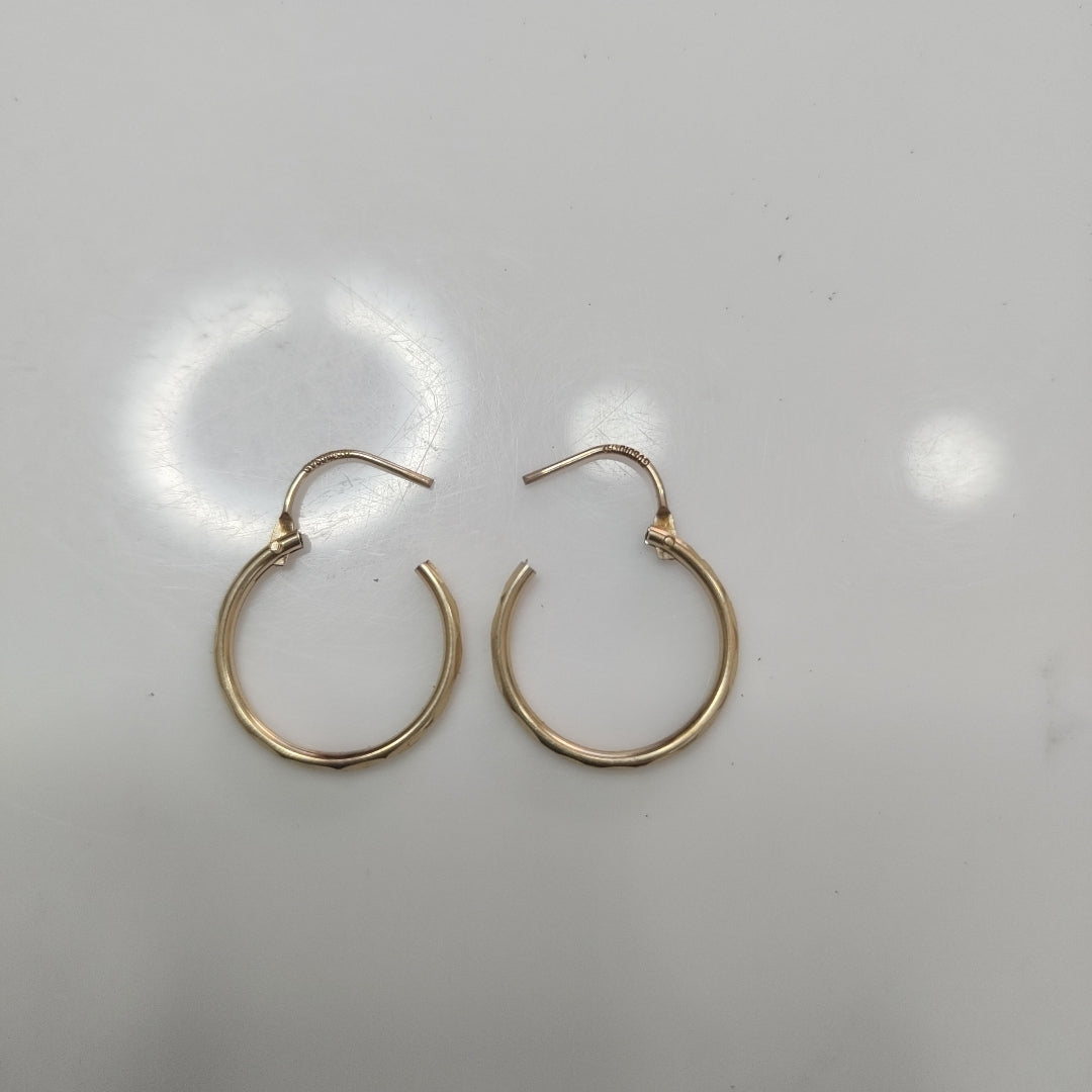 ARETES PAR ORO 10 K 1.1 GRMS (SEMINUEVO)