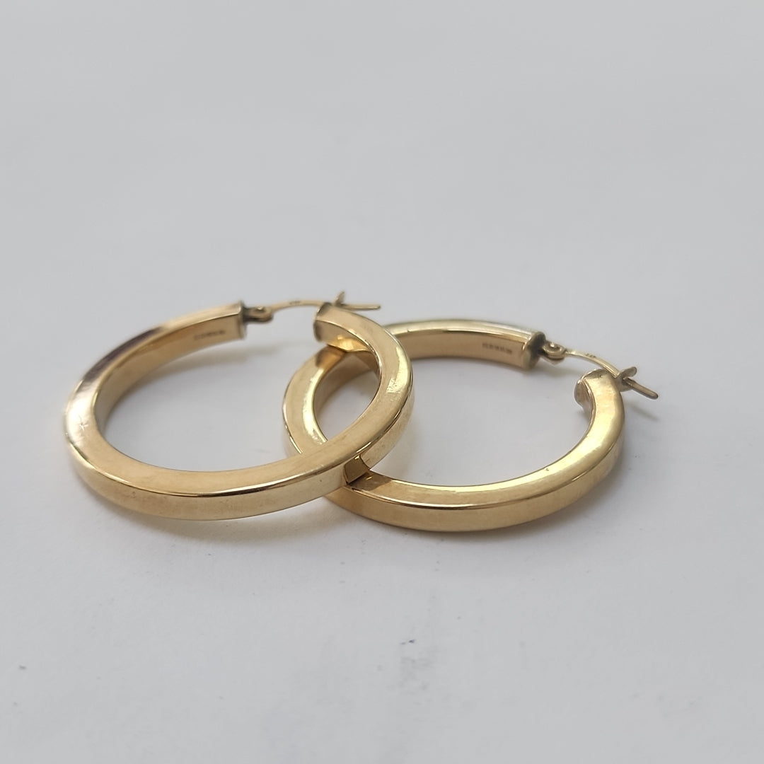 ARRACADAS PAR ORO 10 K 2.3 GRMS (SEMINUEVO)