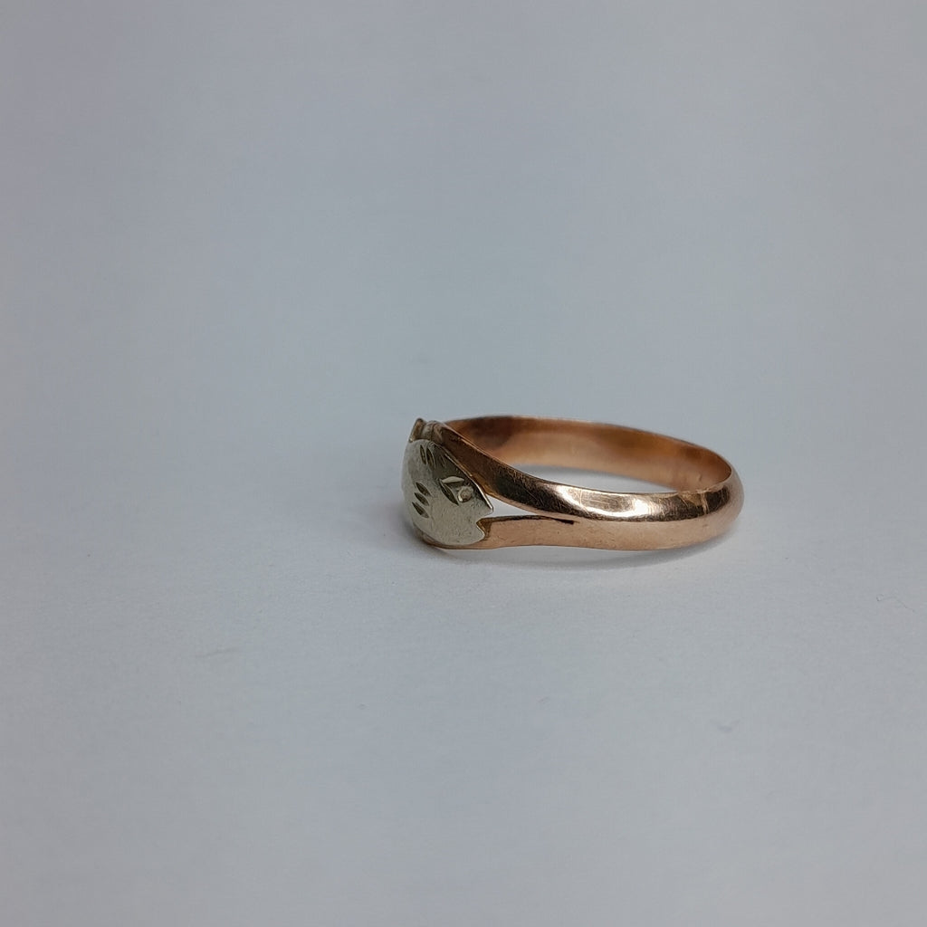 ANILLO ORO 8 K 2.9 GRMS (SEMINUEVO)