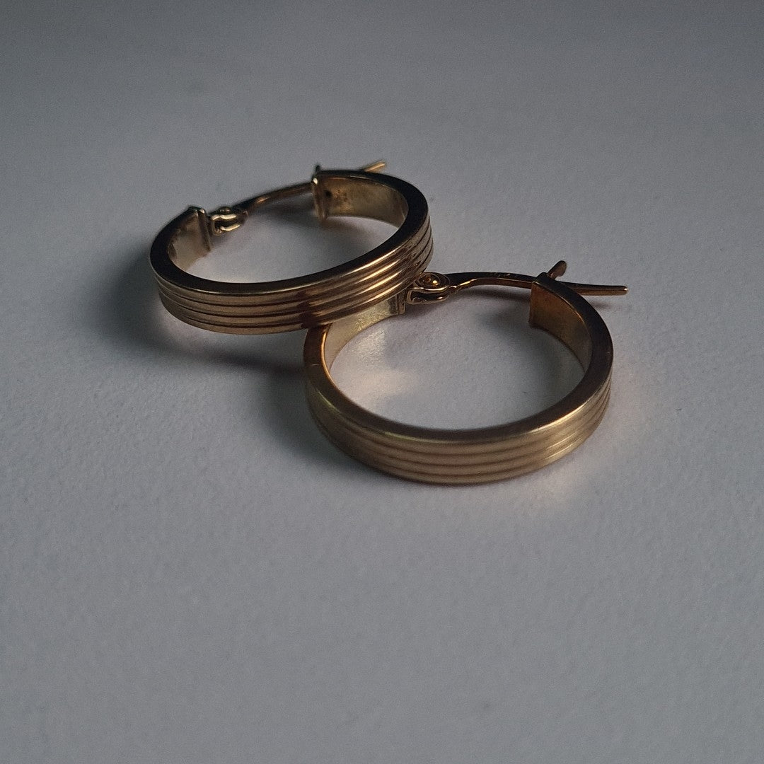 ARETES PAR ORO 10 K 2.5 GRMS (SEMINUEVO)