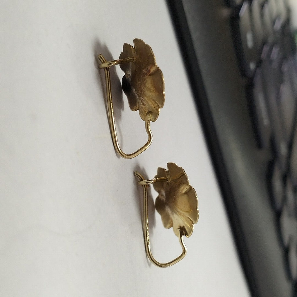 ARETES PAR ORO 10 K 1.8 GRMS (SEMINUEVO)