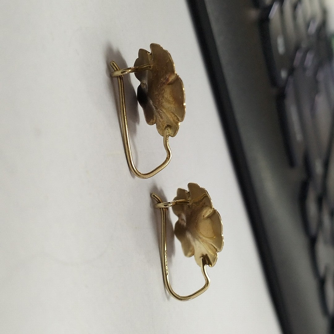 ARETES PAR ORO 10 K 1.8 GRMS (SEMINUEVO)