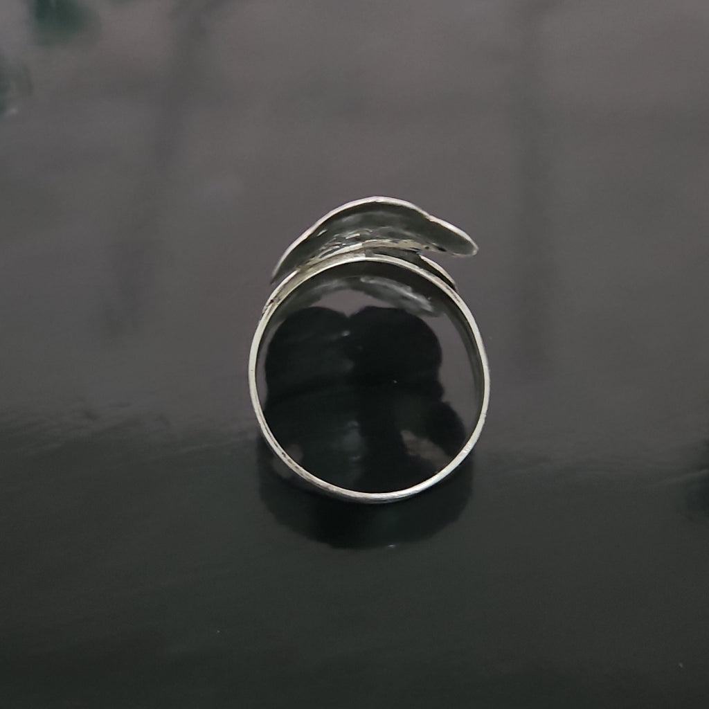 ANILLO PLATA 3,00 GRMS (SEMINUEVO)